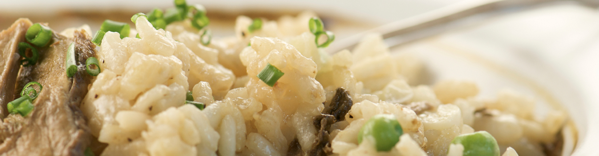 Pilzrisotto Russell Hobbs Deutschland